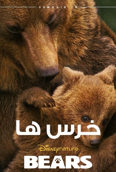 فیلم خرس ها