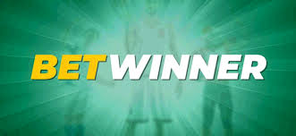 Everything You Need to Know About Your Account BetWinner France 5
