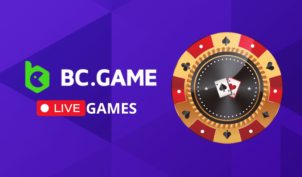 Exploring the Excitement of BC.Game Mirror 25