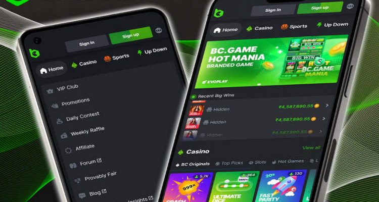 The Ultimate Guide to BC.Game Your Gateway to Online Gaming